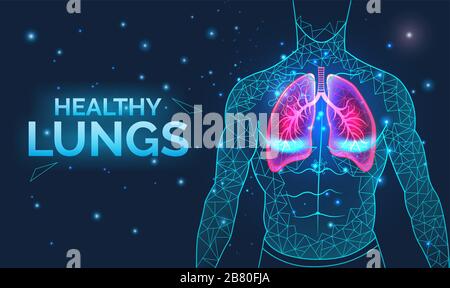 Poumons sains, système respiratoire, prévention des maladies, bannière avec les organes du corps humain, anatomie, respiration et santé, illustration vectorielle. Illustration de Vecteur