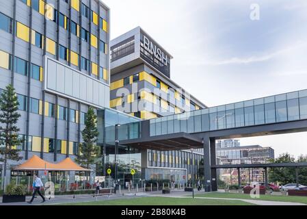 La promenade principale jusqu'à l'entrée de l'hôpital Royal North Shore (aigu et général) dans la banlieue de Sydney de St Leonards, Nouvelle-Galles du Sud, Australie Banque D'Images