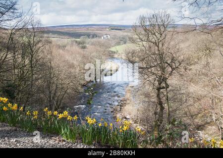 Dans tout le Royaume-Uni - une vue magnifique sur la rivière Wharfe, avec la tour Barden au loin. Une vue qui a été peinte par Turner le célèbre artiste. Banque D'Images