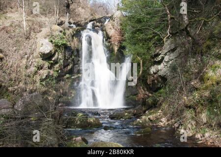 Autour du Royaume-Uni - une chute d'eau sur Sheepshaw Beck, dans la vallée de la désolation, Bolton Abbey, Skipton, North Yorkshire, Royaume-Uni Banque D'Images