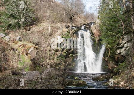 Autour du Royaume-Uni - une chute d'eau sur Sheepshaw Beck, dans la vallée de la désolation, Bolton Abbey, Skipton, North Yorkshire, Royaume-Uni Banque D'Images