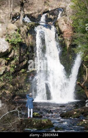 Autour du Royaume-Uni - une chute d'eau sur Sheepshaw Beck, dans la vallée de la désolation, Bolton Abbey, Skipton, North Yorkshire, Royaume-Uni Banque D'Images