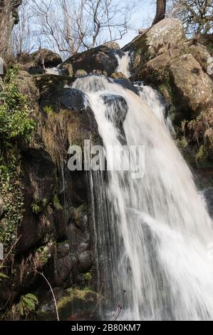 Autour du Royaume-Uni - une chute d'eau sur Sheepshaw Beck, dans la vallée de la désolation, Bolton Abbey, Skipton, North Yorkshire, Royaume-Uni Banque D'Images