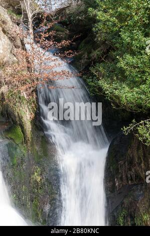 Autour du Royaume-Uni - une chute d'eau sur Sheepshaw Beck, dans la vallée de la désolation, Bolton Abbey, Skipton, North Yorkshire, Royaume-Uni Banque D'Images