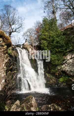 Autour du Royaume-Uni - une chute d'eau sur Sheepshaw Beck, dans la vallée de la désolation, Bolton Abbey, Skipton, North Yorkshire, Royaume-Uni Banque D'Images