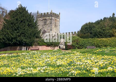 Jonquilles en fleur sur le village en pente vert du charmant village du Yorkshire de Crayke Banque D'Images