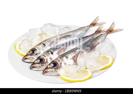 Trois maquereaux crus dans la glace et le citron. Sur fond blanc. Banque D'Images