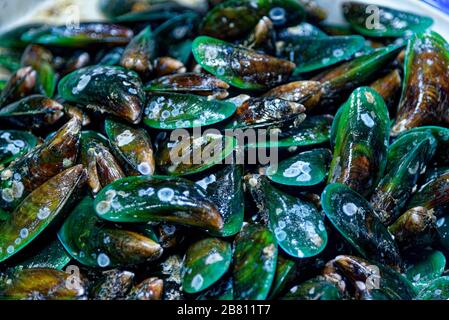 Moules vertes en vente sur le marché frais traditionnel de la rue à Bangkok - Thaïlande Banque D'Images