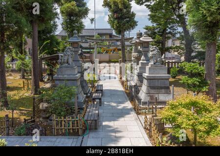 Vue d'été de Miumajinja, un petit sanctuaire local de shinto à Nonoichi, Kanazawa, Japon. Banque D'Images