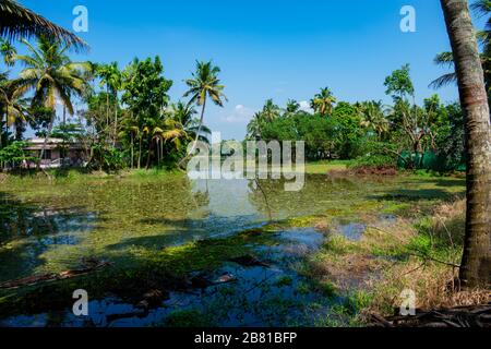 Alapphuzza, Kerala, Inde - 25 décembre 2019 - un village sur le lac Vembanad Banque D'Images