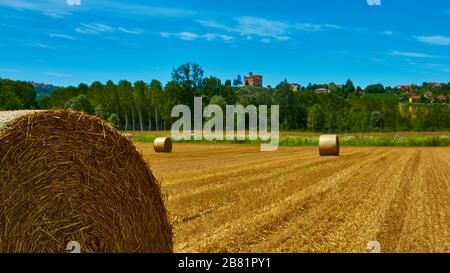 Grands rouleaux de paille allongé sur un champ de mown après récolte du grain - en août près de la ville de Grinzane Cavour dans la province Cuneo, région Piémont, nord Banque D'Images