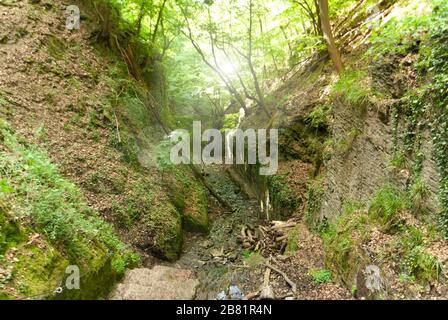 À la Ruppertsklamm Rheinsteig Banque D'Images