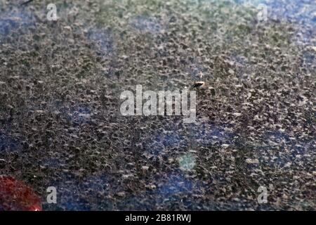 Taches, saleté sur la voiture de verre pollution, saleté de surface, poussière texture du sol fond abstrait Banque D'Images