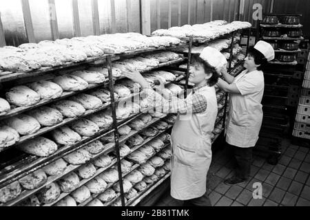 30 novembre 1988, Saxe, Torgau: En 1989, les stullen sont cuits dans une boulangerie de vente en gros de Torgau et préparés pour livraison. Date exacte de l'enregistrement inconnue. Photo : Volksmar Heinz/dpa-Zentralbild/ZB Banque D'Images