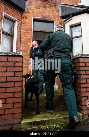 Les officiers du PSNI TSG entrent dans une propriété lors d'une recherche dans une rue mitoyenne au large de la route Crumlin dans la région de Shankill au nord de Belfast. La recherche faisait partie de l'opération Pangea qui vise la vente en ligne de médicaments et de dispositifs médicaux contrefaits et illicites. Banque D'Images