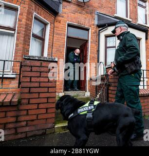 Les officiers du PSNI TSG entrent dans une propriété lors d'une recherche dans une rue mitoyenne au large de la route Crumlin dans la région de Shankill au nord de Belfast. La recherche faisait partie de l'opération Pangea qui vise la vente en ligne de médicaments et de dispositifs médicaux contrefaits et illicites. Banque D'Images