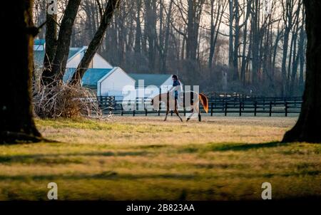 18 mars 2020, Fair Hill, MD, États-Unis: 18 mars 2020 : la vie se déroule comme au Centre d'entraînement de Fair Hill à Fair Hill, Maryland. Bien qu'aucun spectateur ne soit autorisé dans une installation de course aux États-Unis, ou dans le monde essentiellement, pendant la pandémie de coronavirus, les chevaux doivent encore s'entraîner et faire de l'exercice. Le Fair Hill Trainer Center, dans le comté de Cecil, dans le Maryland, est toujours ouvert aux entreprises et les athlètes de l'équine restent actifs à travers la crise de COVID-19. Scott Serio/Eclipse Sportswire/CSM Banque D'Images