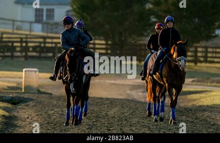 18 mars 2020, Fair Hill, MD, États-Unis: 18 mars 2020 : la vie se déroule comme au Centre d'entraînement de Fair Hill à Fair Hill, Maryland. Bien qu'aucun spectateur ne soit autorisé dans une installation de course aux États-Unis, ou dans le monde essentiellement, pendant la pandémie de coronavirus, les chevaux doivent encore s'entraîner et faire de l'exercice. Le Fair Hill Trainer Center, dans le comté de Cecil, dans le Maryland, est toujours ouvert aux entreprises et les athlètes de l'équine restent actifs à travers la crise de COVID-19. Scott Serio/Eclipse Sportswire/CSM Banque D'Images