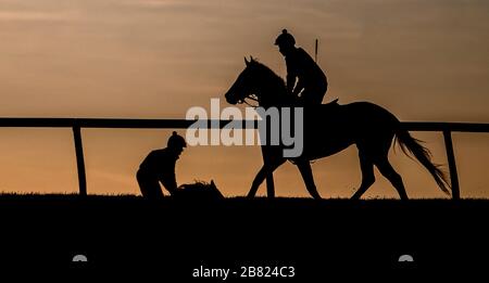 18 mars 2020, Fair Hill, MD, États-Unis: 18 mars 2020 : les chevaux s'entraînent au lever du soleil alors que la vie continue au Centre d'entraînement de Fair Hill à Fair Hill, Maryland. Bien qu'aucun spectateur ne soit autorisé dans une installation de course aux États-Unis, ou dans le monde essentiellement, pendant la pandémie de coronavirus, les chevaux doivent encore s'entraîner et faire de l'exercice. Le Fair Hill Trainer Center, dans le comté de Cecil, dans le Maryland, est toujours ouvert aux entreprises et les athlètes de l'équine restent actifs à travers la crise de COVID-19. Scott Serio/Eclipse Sportswire/CSM Banque D'Images