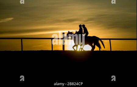 18 mars 2020, Fair Hill, MD, États-Unis: 18 mars 2020 : les chevaux s'entraînent au lever du soleil alors que la vie continue au Centre d'entraînement de Fair Hill à Fair Hill, Maryland. Bien qu'aucun spectateur ne soit autorisé dans une installation de course aux États-Unis, ou dans le monde essentiellement, pendant la pandémie de coronavirus, les chevaux doivent encore s'entraîner et faire de l'exercice. Le Fair Hill Trainer Center, dans le comté de Cecil, dans le Maryland, est toujours ouvert aux entreprises et les athlètes de l'équine restent actifs à travers la crise de COVID-19. Scott Serio/Eclipse Sportswire/CSM Banque D'Images