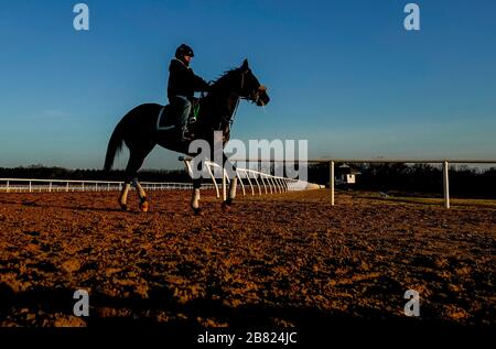 18 mars 2020, Fair Hill, MD, États-Unis: 18 mars 2020 : un cheval vient de la piste d'entraînement alors que la vie continue au Centre d'entraînement de Fair Hill à Fair Hill, Maryland. Bien qu'aucun spectateur ne soit autorisé dans une installation de course aux États-Unis, ou dans le monde essentiellement, pendant la pandémie de coronavirus, les chevaux doivent encore s'entraîner et faire de l'exercice. Le Fair Hill Trainer Center, dans le comté de Cecil, dans le Maryland, est toujours ouvert aux entreprises et les athlètes de l'équine restent actifs à travers la crise de COVID-19. Scott Serio/Eclipse Sportswire/CSM Banque D'Images