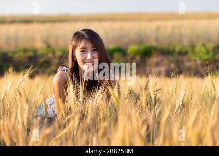 Belle et heureuse femme asiatique profitant de la vie dans le champ d'orge au coucher du soleil. Banque D'Images