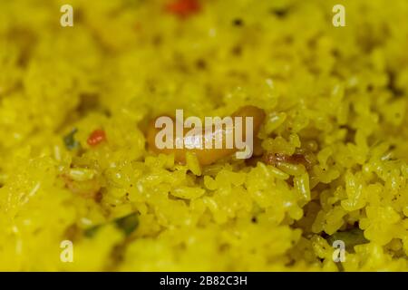 Gros plan photo d'un plat de riz indien, fond végétarien de pulao de noix de cajou. Concept de cuisine indienne, plat régional du bengale occidental, homem Banque D'Images