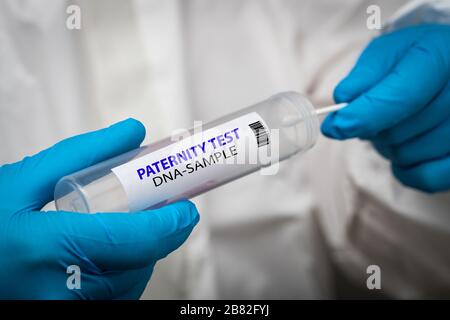 Test de paternité, test d'écouvillon d'ADN Banque D'Images