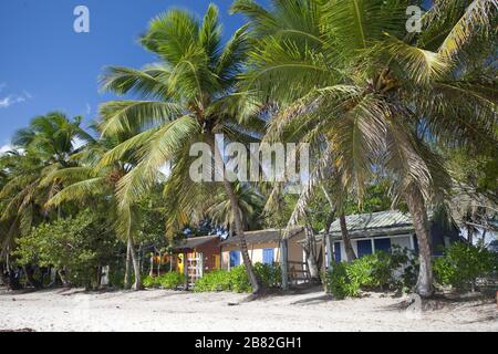 Maisons de plage colorées typiques sur la plage de Bayahibe, république dominicaine Banque D'Images