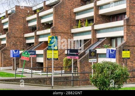 L'agent immobilier doit laisser des panneaux devant un bloc d'appartements du sud de Londres. Banque D'Images