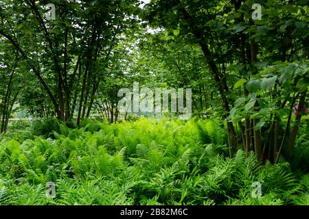 Jardin de Sissinghurst dans la weald du kent Banque D'Images