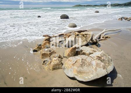 Vue sur les rochers sur la plage de Moeraki, Boulders Beach, South Island, Nouvelle-Zélande Banque D'Images