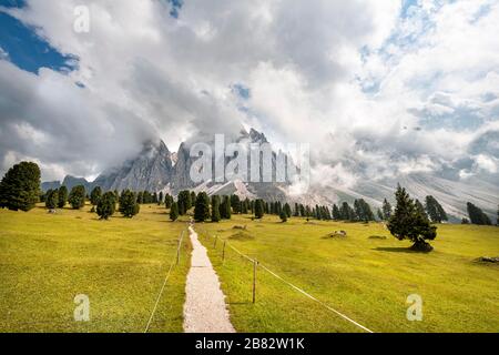 Sentier de randonnée au Gschnagenhardt Alm, pics de Geisler couverts par le nuage, groupe Geisler avec Sass Rigais, vallée de Villnoess, Dolomites, Tyrol du Sud, Italie Banque D'Images