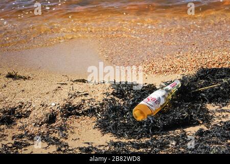 Riga, Lettonie - 5 mai 2018 : bouteille de bière jaune sol sur le bord de mer pour une journée d'été Banque D'Images