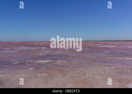 La mousse blanche agite sur les vagues du lac de sel rose Sasyk-Sivash à l'ouest de la péninsule de Crimée. Vent fort sur un jour ensoleillé Banque D'Images