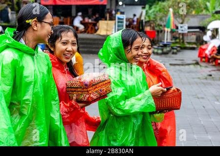 Les jeunes femmes hindoues balinaises arrivent à la cérémonie Batara Turun Kabeh dans la pluie, Temple de Besakih, Bali, Indonésie. Banque D'Images