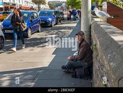 Un vendeur de grands enjeux masculin assis sur un pavé suivi d'un mouette à Llandudno, Conwy, Pays de Galles, Royaume-Uni. Banque D'Images