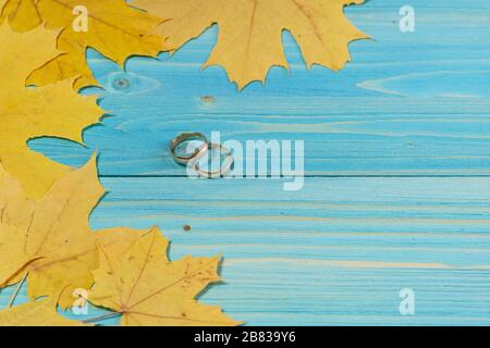 Deux anneaux de mariage se trouvent à côté de feuilles d'érable jaunes sur une table en bois bleu. Mariage d'automne. Carte postale Banque D'Images