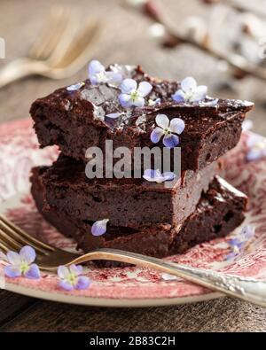 Brownies au chocolat sans gluten avec plantes comestibles sauvages Banque D'Images