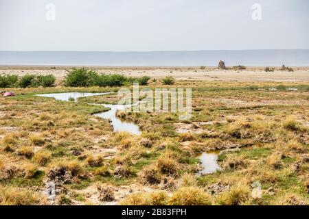 Afrique, Djibouti, Lac Abbe. Vue sur le paysage du lac Abbe Banque D'Images