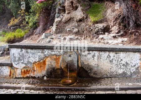 Portugal, Açores, Acores, Furnas, Caldieras, sources chaudes, volcaniques, sources minérales, Banque D'Images