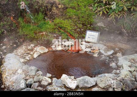 Portugal, Açores, Acores, Furnas, Caldieras, sources chaudes, volcaniques, sources minérales, Banque D'Images