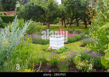 Ruche traditionnelle en bois blanc dans les jolis jardins paysagers fleuris du Houghton Hall à Norfolk, East Anglia, Angleterre en été Banque D'Images