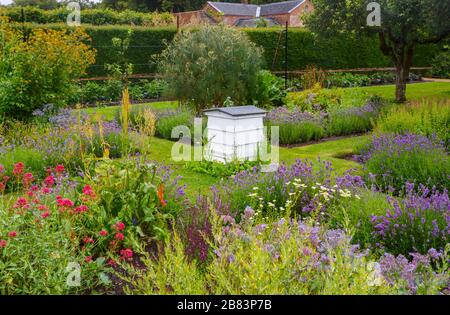 Ruche traditionnelle en bois blanc dans les jolis jardins paysagers fleuris du Houghton Hall à Norfolk, East Anglia, Angleterre en été Banque D'Images