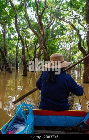 Le guide touristique donne aux touristes une promenade à travers la forêt inondée au sud de Kampong Phluk, au Cambodge. Banque D'Images