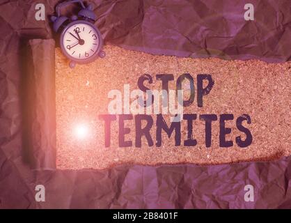 Écriture Manuscrite Arrêtez Les Termites. Photo conceptuelle empêcher un petit insecte tropical d'endommager les bois Banque D'Images