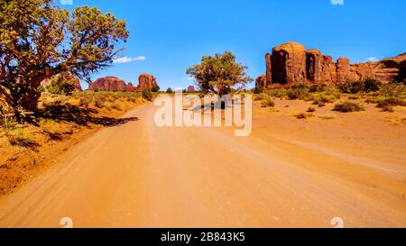 Quelques arbres le long de la route Gravel se serpentant autour des Buttes et Mesas de la pierre rouge dans le paysage du désert de Monument Valley Banque D'Images