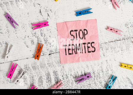 Écriture manuscrite arrêtez les termites. Photo conceptuelle empêcher un petit insecte tropical d'endommager les bois de couleur clothesspin rectangle forme carrée pa Banque D'Images