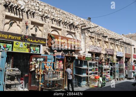 Vue sur le marché des animaux de compagnie à Souq Waqif où l'on peut trouver tous les animaux de compagnie, y compris les oiseaux - Doha, Qatar Banque D'Images