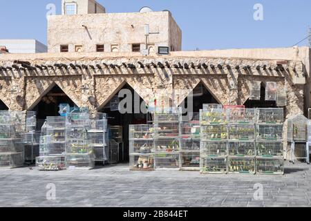 Vue sur le marché des animaux de compagnie à Souq Waqif où l'on peut trouver tous les animaux de compagnie, y compris les oiseaux - Doha, Qatar Banque D'Images